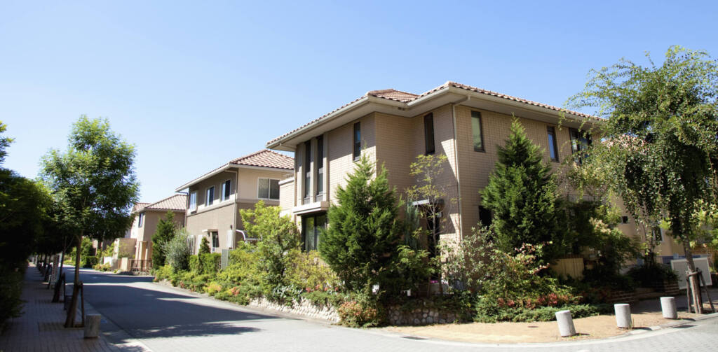 スライドショー - 6